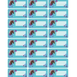 4 er Set  A4 Stundenplan + Lernposter + Heftaufkleber  | Pony Blumen - türkis lila