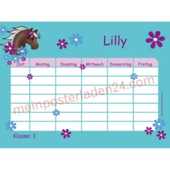 4 er Set  A4 Stundenplan + Lernposter + Heftaufkleber  | Pony Blumen - türkis lila