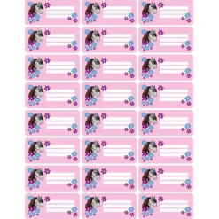 4 er Set  A4 Stundenplan + Lernposter + Heftaufkleber  | Pony Blumen - rosa