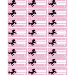 4 er Set  A4 Stundenplan + Lernposter + Heftaufkleber  | Wildpferd - rosa