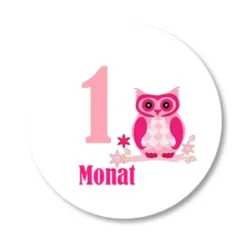 12 Meilensteinaufkleber Eule rosa Aufkleber zwölf Monate Baby Mädchen