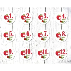 12 Monatsaufkleber Raupe Apfel Aufkleber Meilensteine Baby