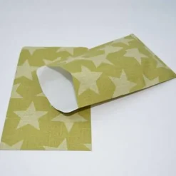 10 Papierbeutel Big Star