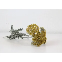 5 Stiele Trockenblumen Schafgarbe gelb