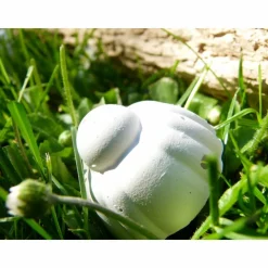 4 weiße TafelKreiden "Torte" Geburtstag * Kuchen * Kinderkreide * Malkreide * Mitgebsel * Mitbringsel * Geburtst