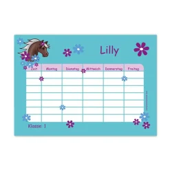 A4 Stundenplan | Pony Blumen - türkis lila - personalisierbar, optional wiederbeschreibbar