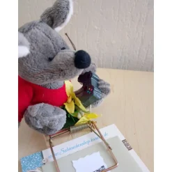 Achtung Mäuse Geldgeschenk – Originelle Mausefalle mit Plüschmaus & Spielkonsole als Geschenkidee