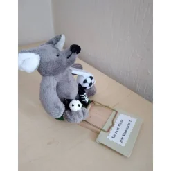 Achtung Mäuse Geldgeschenk für Fußballer – Originelle Mausefalle mit Plüschmaus als Geschenkidee