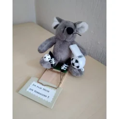 Achtung Mäuse Geldgeschenk für Fußballer – Originelle Mausefalle mit Plüschmaus als Geschenkidee