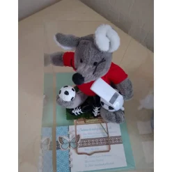 Achtung Mäuse Geldgeschenk für Fußballer – Originelle Mausefalle mit Plüschmaus als Geschenkidee