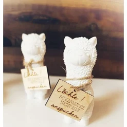 Alpaka/Lama mit Holzschild