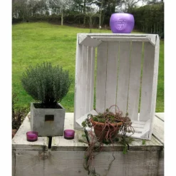 Alte WEIßE OBSTKISTEN Vintage Apfelkisten Rustikale Holzkisten für Hochzeit Schuhregal Weinkisten DIY Regal Landhaus Shabby Antik Holz Deko