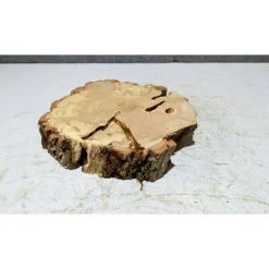 Baumscheibe, Holzscheibe, gestockt, Pappel,Holz, Bastelholz, Holzdeko, Dekoration,Holz