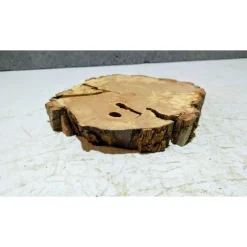 Baumscheibe, Holzscheibe, gestockt, Pappel,Holz, Bastelholz, Holzdeko, Dekoration,Holz