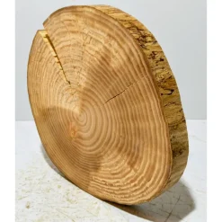 Baumscheibe, Holzscheibe, gestockt, Ulme, Bastelholz, Holz