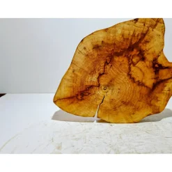 Baumscheibe, Holzscheibe, gestockt, Pappel,Holz, Bastelholz, Holzdeko, Dekoration,Holz