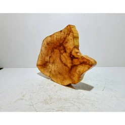 Baumscheibe, Holzscheibe, gestockt, Pappel,Holz, Bastelholz, Holzdeko, Dekoration,Holz