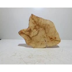 Baumscheibe, Holzscheibe, gestockt, Pappel,Holz, Bastelholz, Holzdeko, Dekoration,Holz