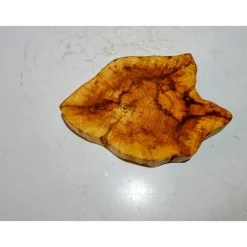 Baumscheibe, Holzscheibe, gestockt, Pappel,Holz, Bastelholz, Holzdeko, Dekoration,Holz