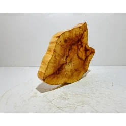 Baumscheibe, Holzscheibe, gestockt, Pappel,Holz, Bastelholz, Holzdeko, Dekoration,Holz