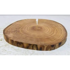 Baumscheibe, Holzscheibe, gestockt, Ulme, Bastelholz, Holz