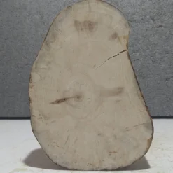 Baumscheibe, Holzscheibe, gestockt, Pappel,Holz, Bastelholz, Holzdeko, Dekoration,Holz