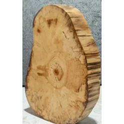 Baumscheibe, Holzscheibe, gestockt, Pappel,Holz, Bastelholz, Holzdeko, Dekoration,Holz