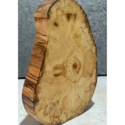 Baumscheibe, Holzscheibe, gestockt, Pappel,Holz, Bastelholz, Holzdeko, Dekoration,Holz