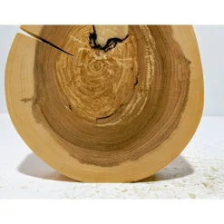 Baumscheibe, Holzscheibe, gestockt, Traubenkirsche,Holz, Bastelholz, Holzdeko, Dekoration,Holz