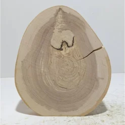 Baumscheibe, Holzscheibe, gestockt, Traubenkirsche,Holz, Bastelholz, Holzdeko, Dekoration,Holz