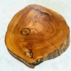 Baumscheibe, Holzscheibe, gestockt, Ulme, Bastelholz, Holz