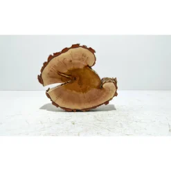 Baumscheibe, Holzscheibe, gestockt, Pappel,Holz, Bastelholz, Holzdeko, Dekoration,Holz