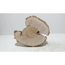 Baumscheibe, Holzscheibe, gestockt, Pappel,Holz, Bastelholz, Holzdeko, Dekoration,Holz