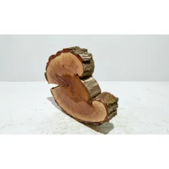 Baumscheibe, Holzscheibe, gestockt, Pappel,Holz, Bastelholz, Holzdeko, Dekoration,Holz