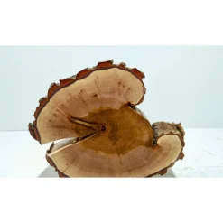 Baumscheibe, Holzscheibe, gestockt, Pappel,Holz, Bastelholz, Holzdeko, Dekoration,Holz