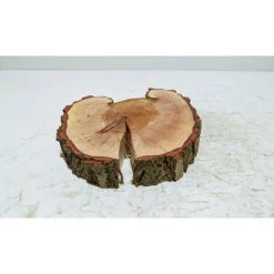 Baumscheibe, Holzscheibe, gestockt, Pappel,Holz, Bastelholz, Holzdeko, Dekoration,Holz