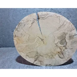 Baumscheibe, Holzscheibe, gestockt, Erle, Bastelholz, Holz