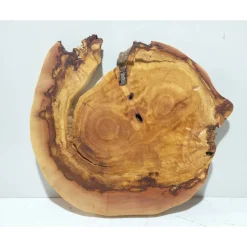 Baumscheibe, Holzscheibe, gestockt, Pappel,Holz, Bastelholz, Holzdeko, Dekoration,Holz