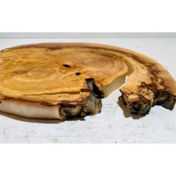 Baumscheibe, Holzscheibe, gestockt, Pappel,Holz, Bastelholz, Holzdeko, Dekoration,Holz