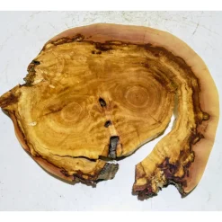 Baumscheibe, Holzscheibe, gestockt, Pappel,Holz, Bastelholz, Holzdeko, Dekoration,Holz