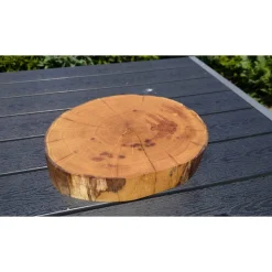 Baumscheibe, Holzscheibe, gestockt, Eiche,Holz, Bastelholz, Holzdeko, Dekoration,Holz