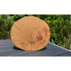 Baumscheibe, Holzscheibe, gestockt, Eiche,Holz, Bastelholz, Holzdeko, Dekoration,Holz