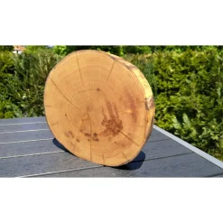 Baumscheibe, Holzscheibe, gestockt, Eiche,Holz, Bastelholz, Holzdeko, Dekoration,Holz