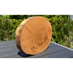 Baumscheibe, Holzscheibe, gestockt, Eiche,Holz, Bastelholz, Holzdeko, Dekoration,Holz