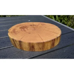 Baumscheibe, Holzscheibe, gestockt, Eiche,Holz, Bastelholz, Holzdeko, Dekoration,Holz