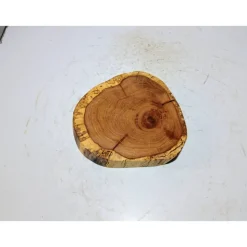 Baumscheibe, Holzscheibe, gestockt, Eiche,Holz, Bastelholz, Holzdeko, Dekoration,Holz