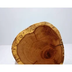 Baumscheibe, Holzscheibe, gestockt, Eiche,Holz, Bastelholz, Holzdeko, Dekoration,Holz