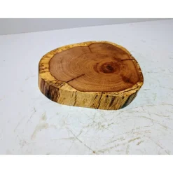 Baumscheibe, Holzscheibe, gestockt, Eiche,Holz, Bastelholz, Holzdeko, Dekoration,Holz