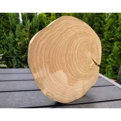 Baumscheibe, Holzscheibe, gestockt, Ulme, Bastelholz, Holz