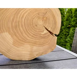 Baumscheibe, Holzscheibe, gestockt, Ulme, Bastelholz, Holz